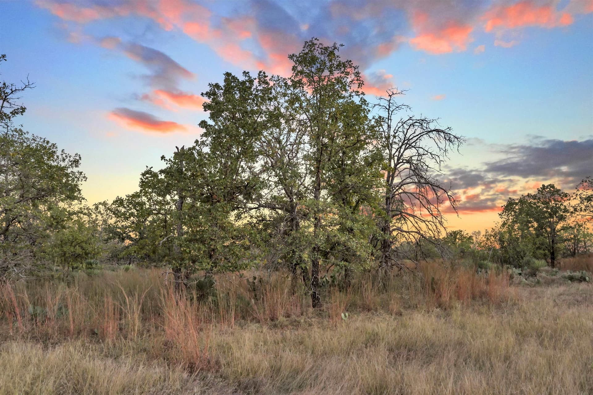 4.5 acres in Burnet County - photo 10