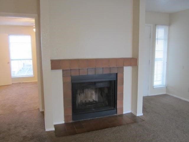 17.99 acres in Dallas County - photo 2