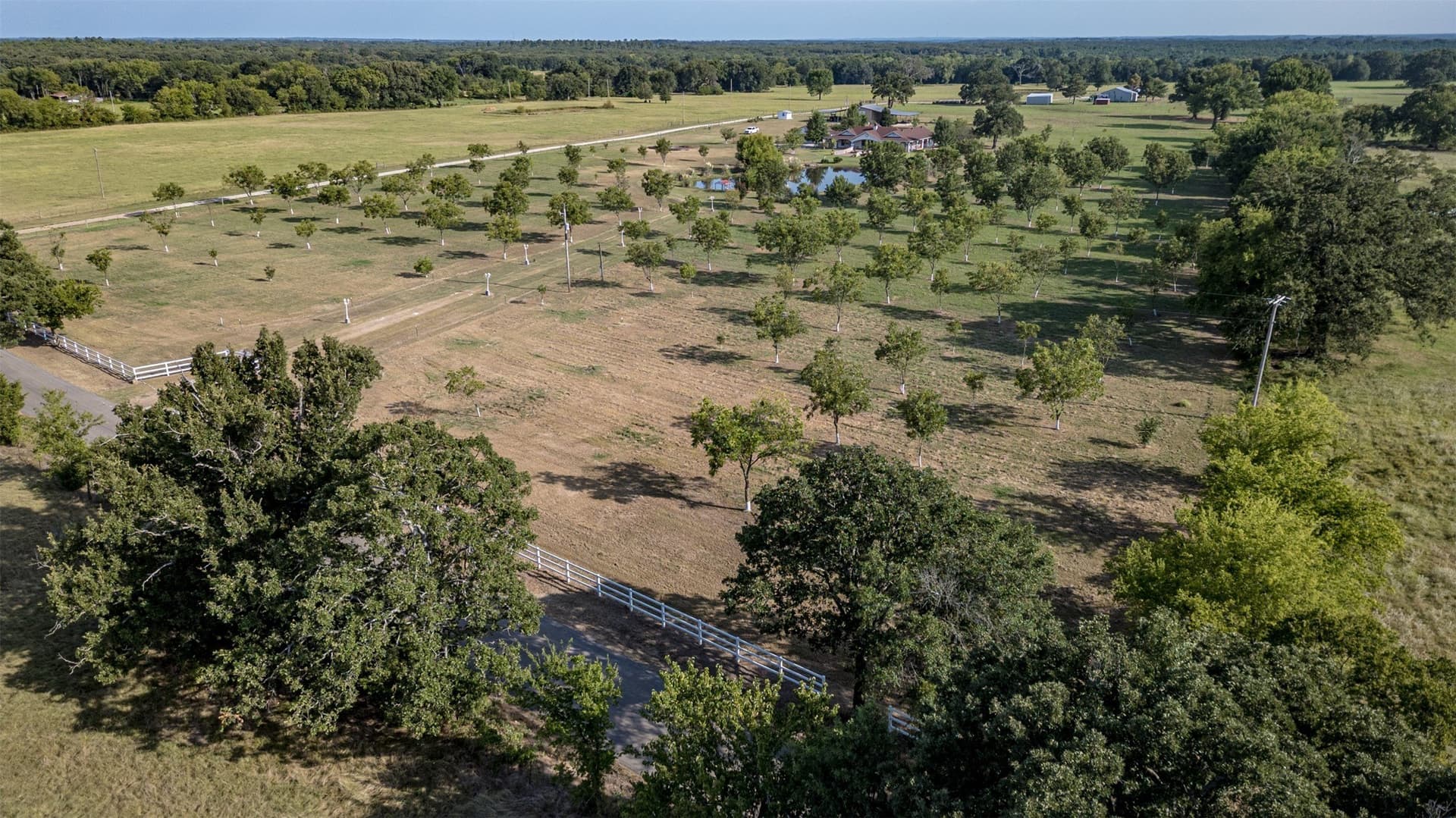 17.09 acres in Wood County - photo 39