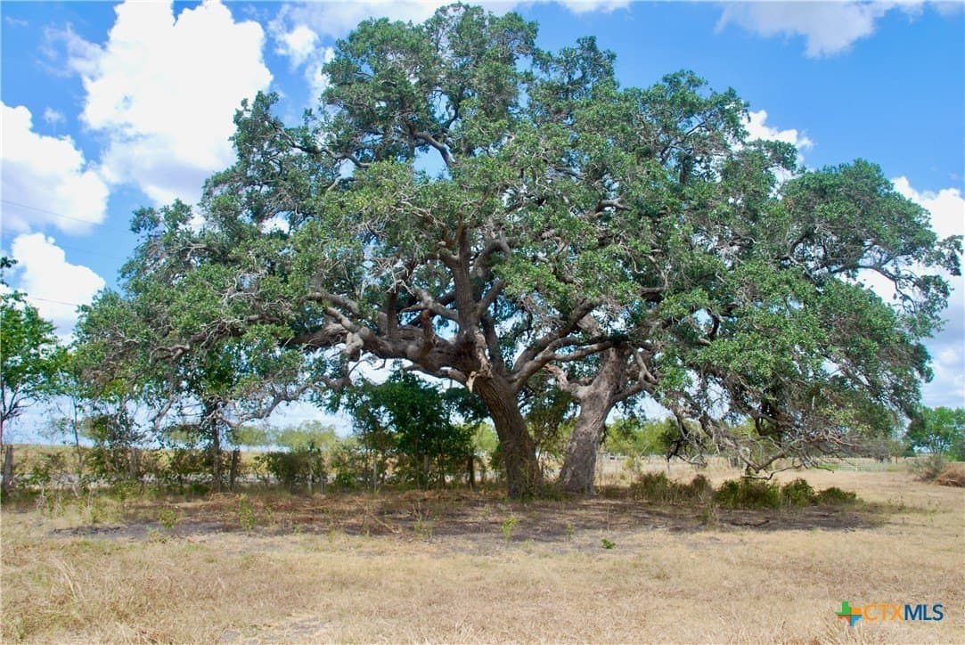 14.72 acres in Lavaca County - photo 2