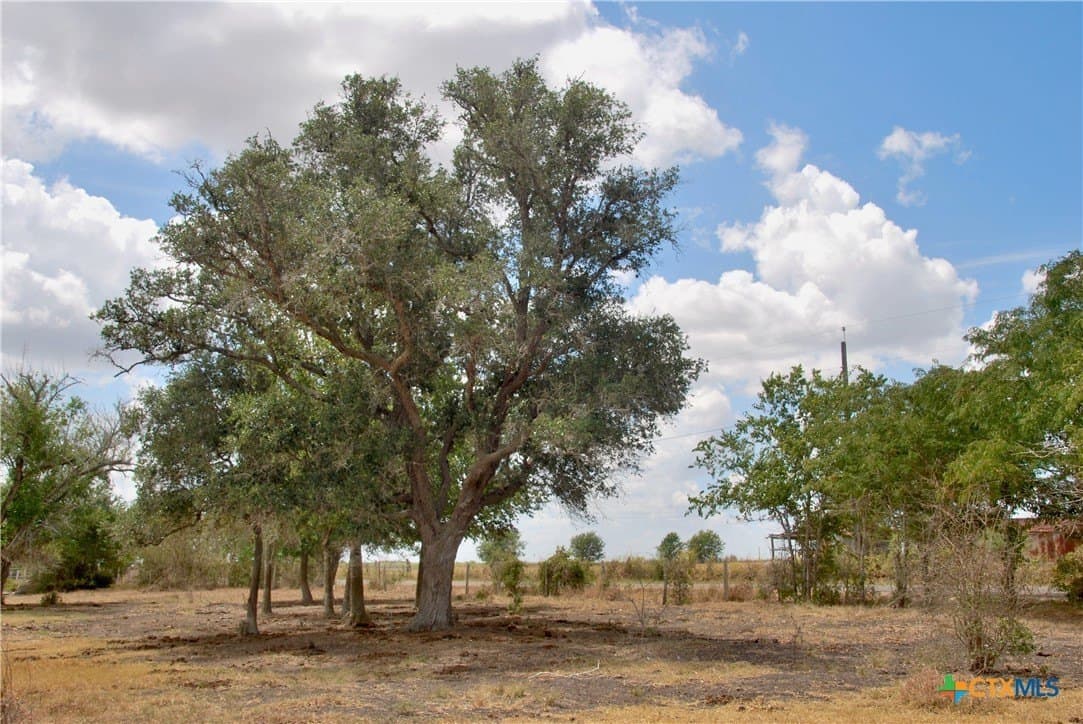 14.72 acres in Lavaca County - photo 15