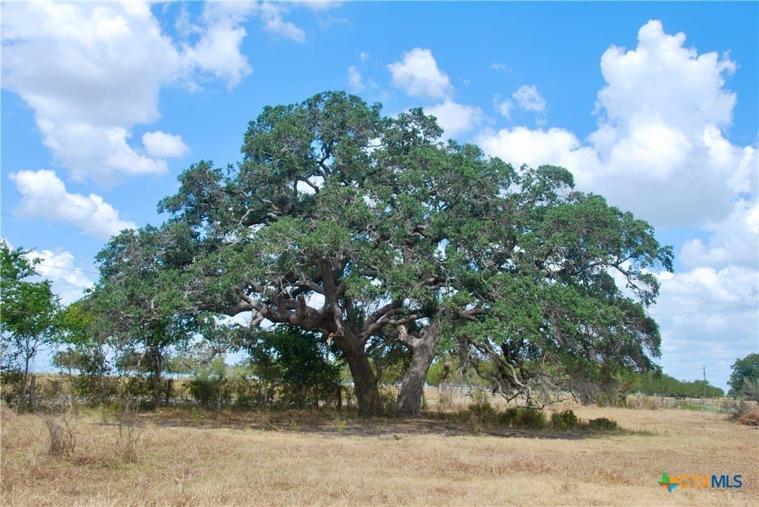 14.72 acres in Lavaca County - photo 16