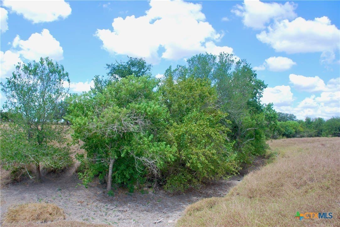14.72 acres in Lavaca County - photo 12