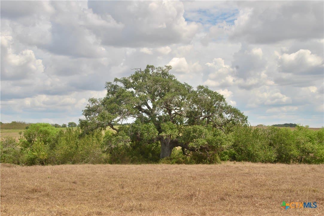 14.72 acres in Lavaca County - photo 3