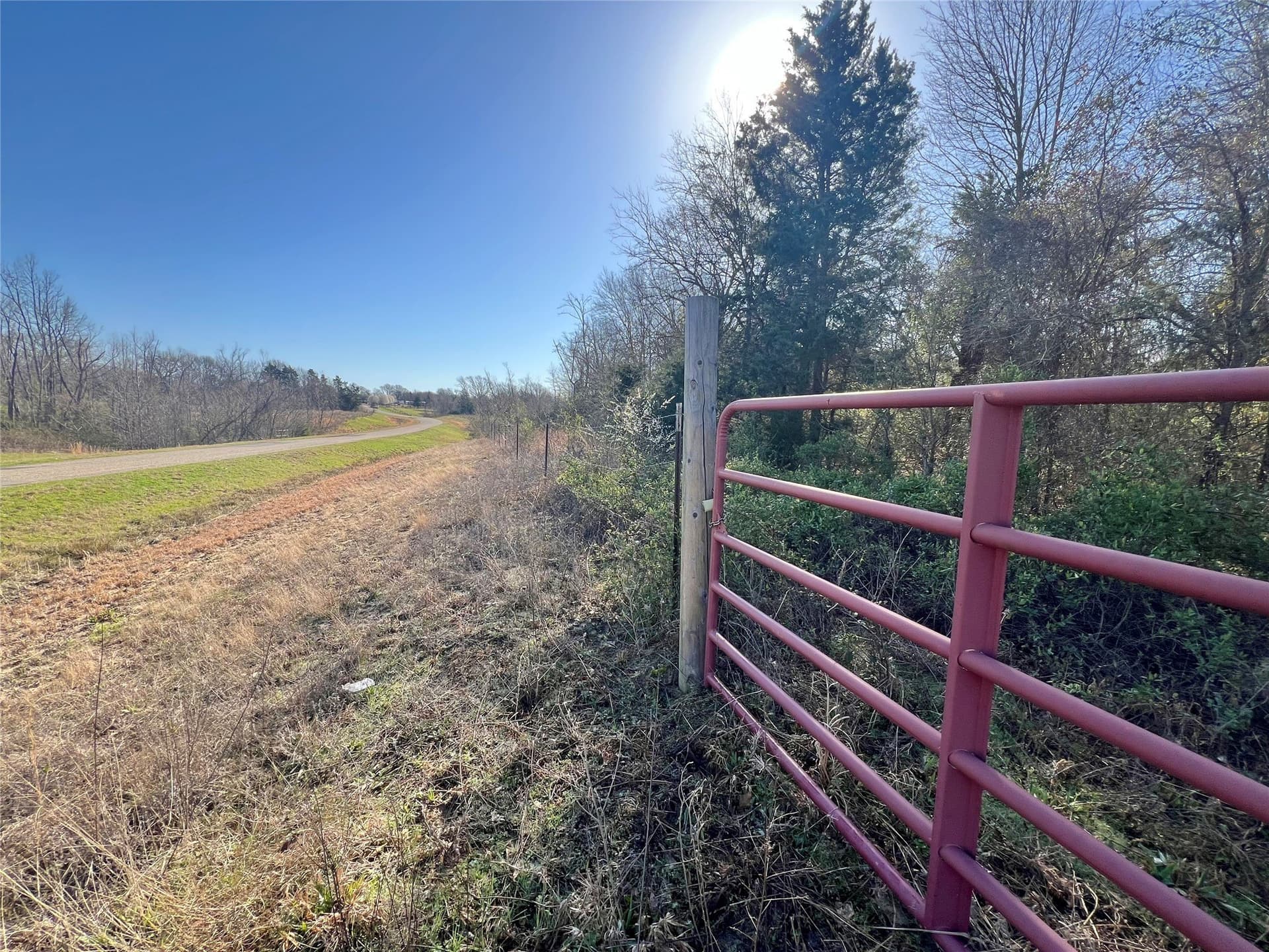 53 acres in Titus County - photo 3