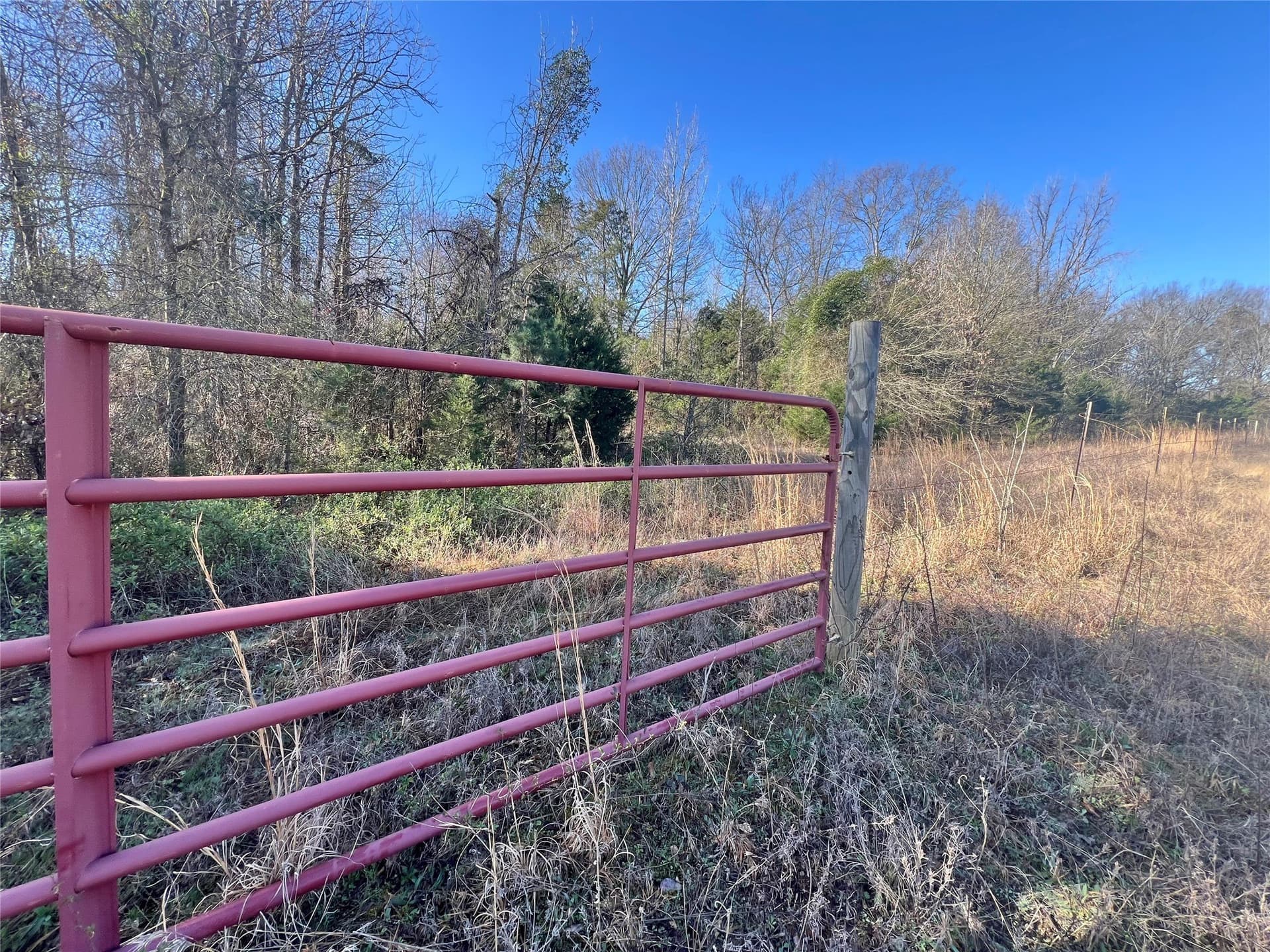 53 acres in Titus County - photo 4