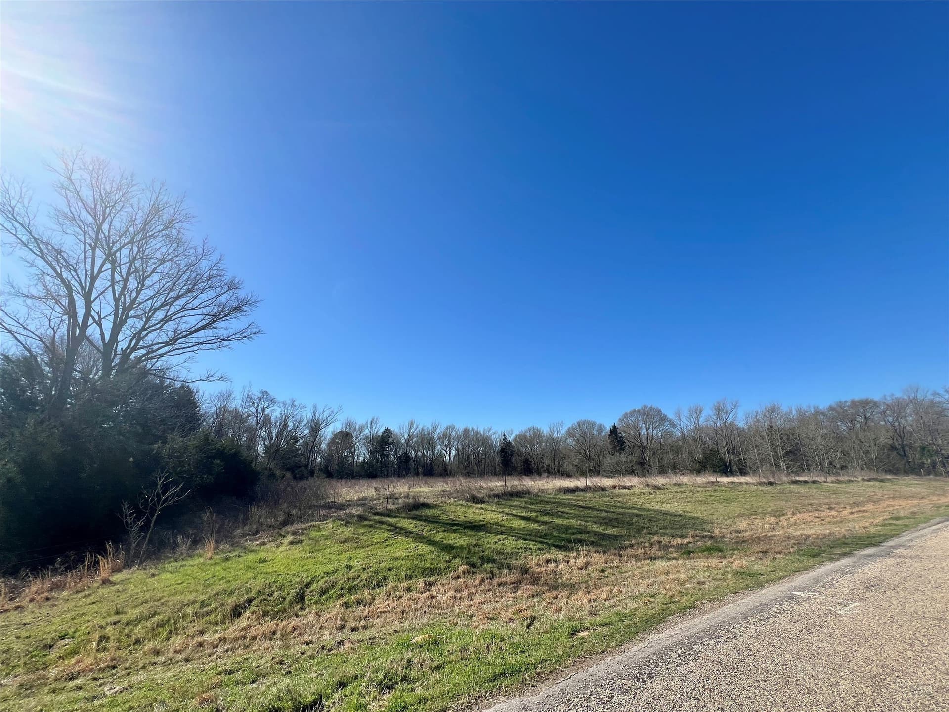 53 acres in Titus County - photo 2