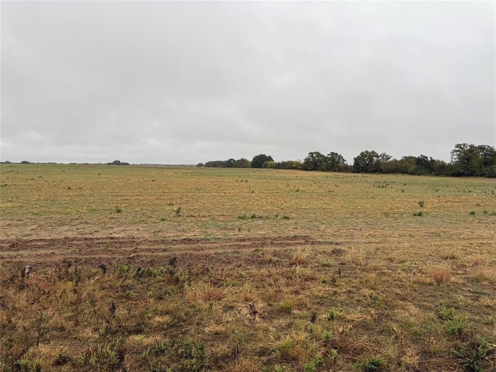 10 acres in Callahan County gallery image 4