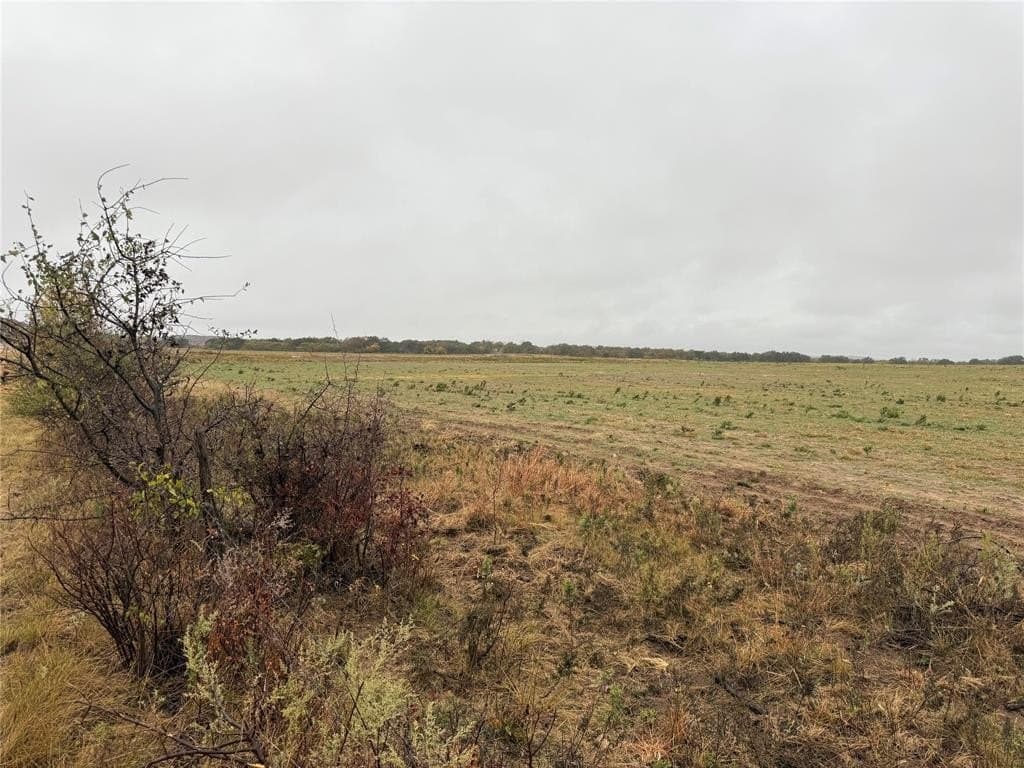 10 acres in Callahan County gallery image 2