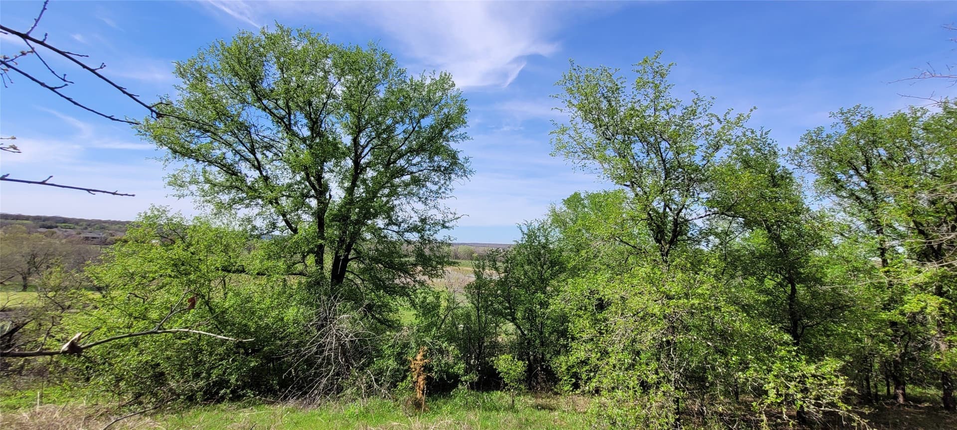 3.26 acres in Johnson County - photo 16
