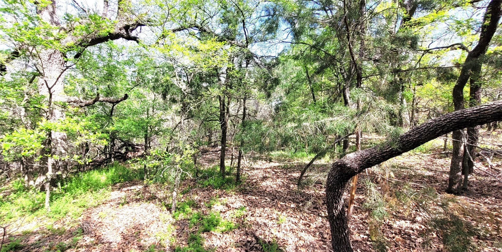 3.26 acres in Johnson County - photo 5