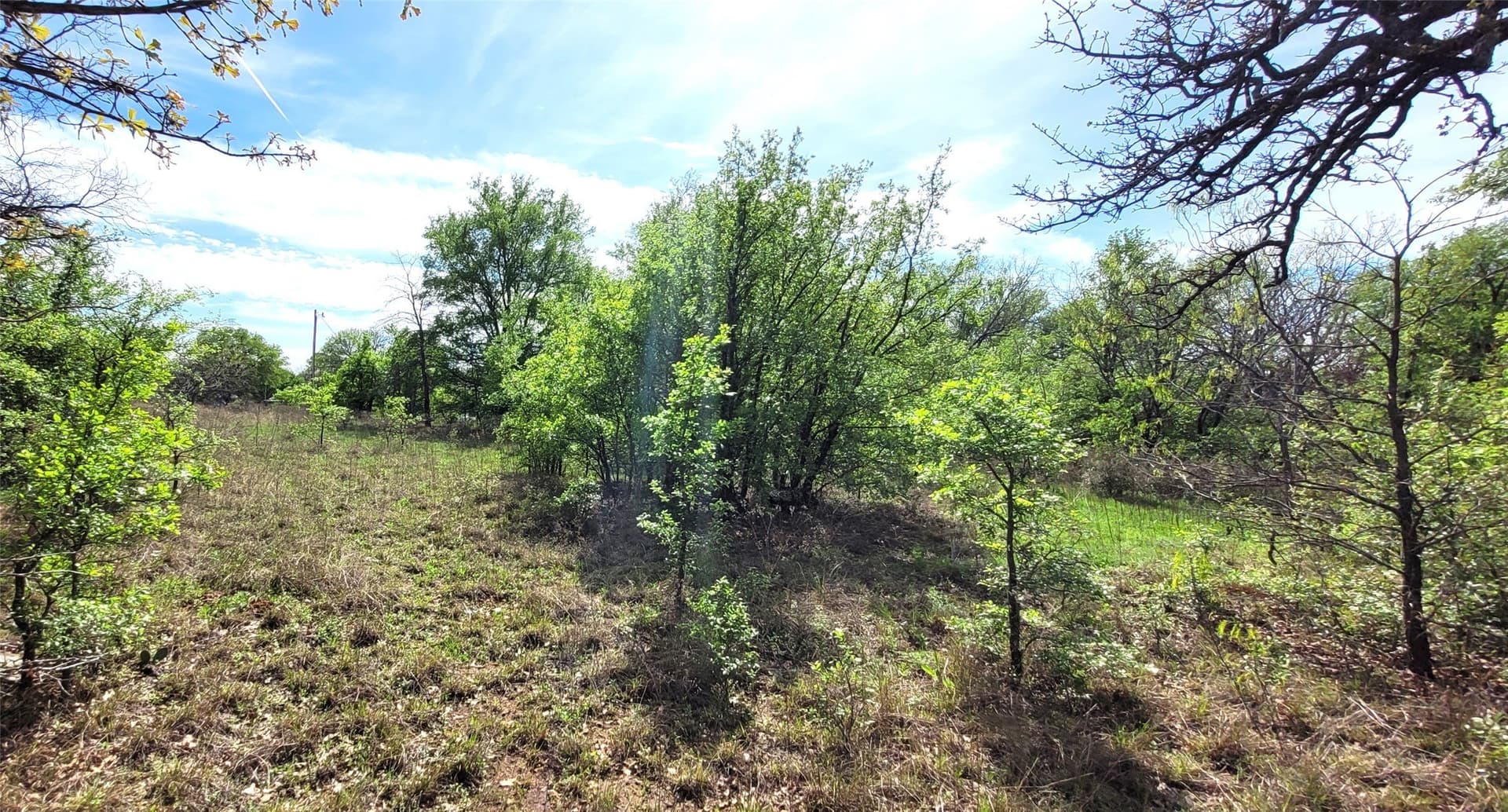 3.26 acres in Johnson County - photo 4