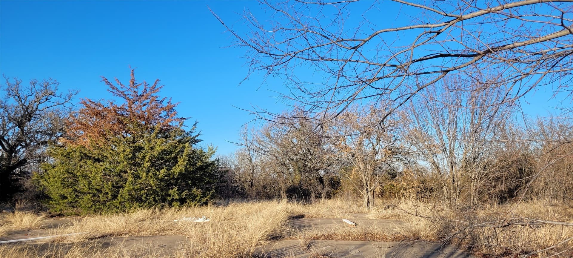 3.26 acres in Johnson County - photo 19