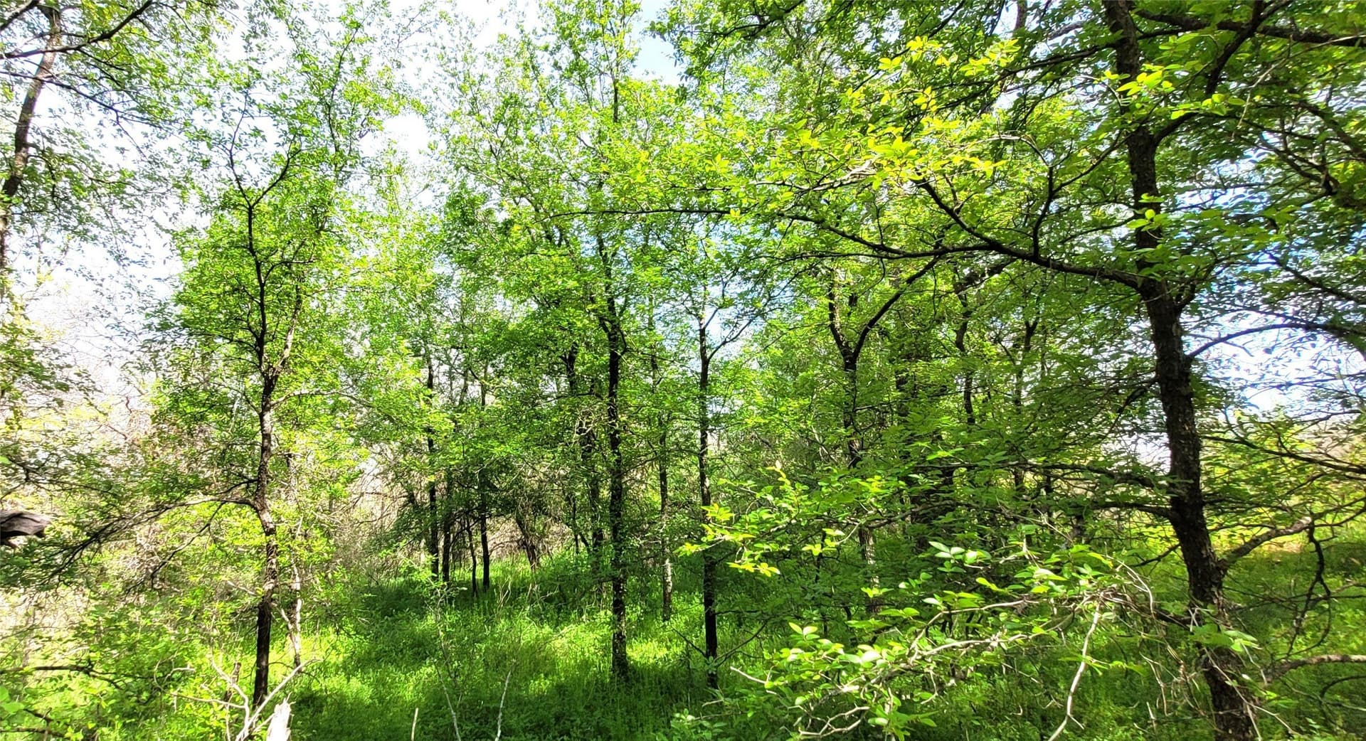 3.26 acres in Johnson County - photo 7