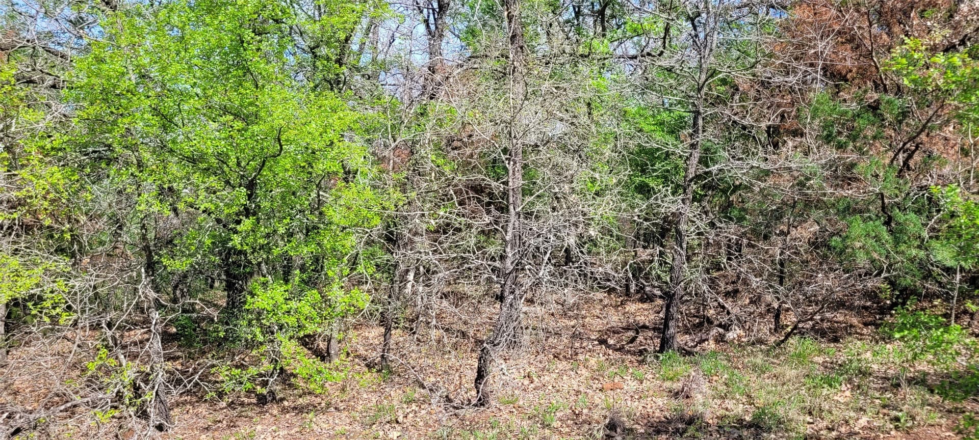 3.26 acres in Johnson County - photo 13