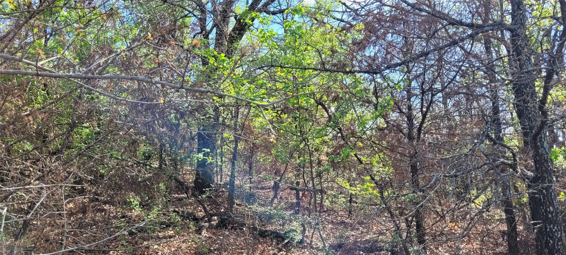 3.26 acres in Johnson County - photo 15