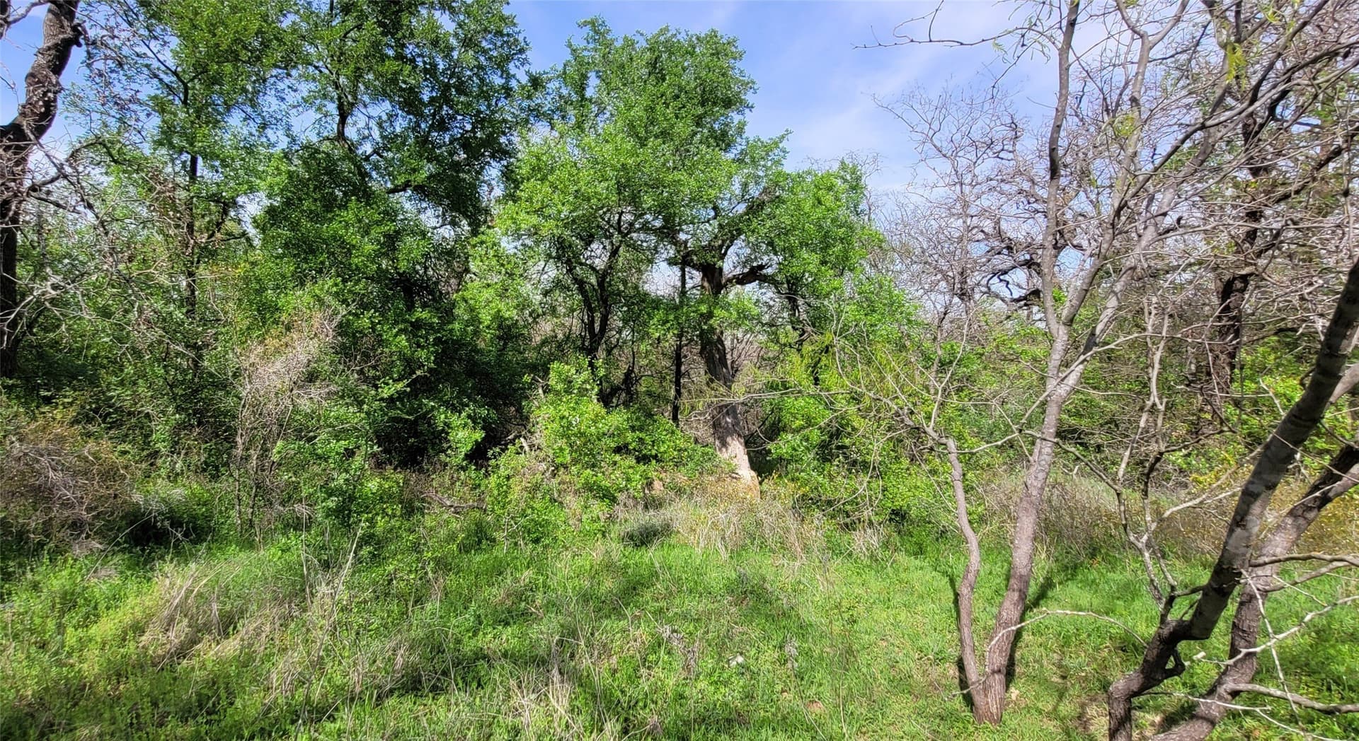 3.26 acres in Johnson County - photo 8
