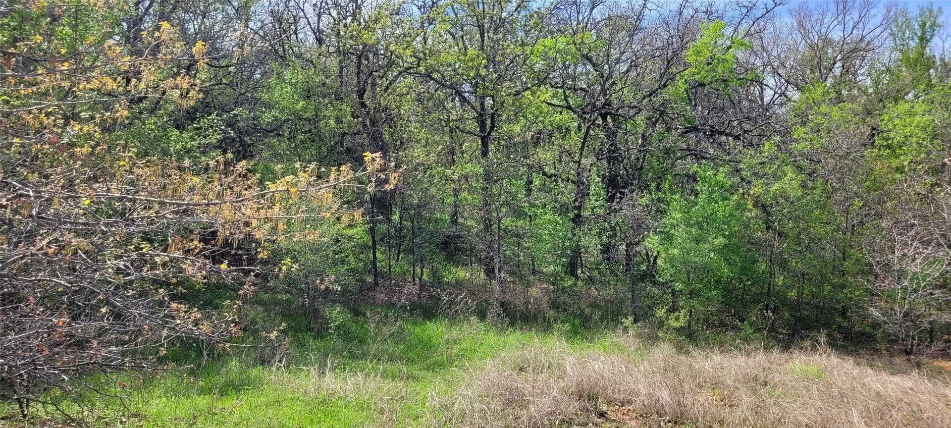 3.26 acres in Johnson County - photo 11