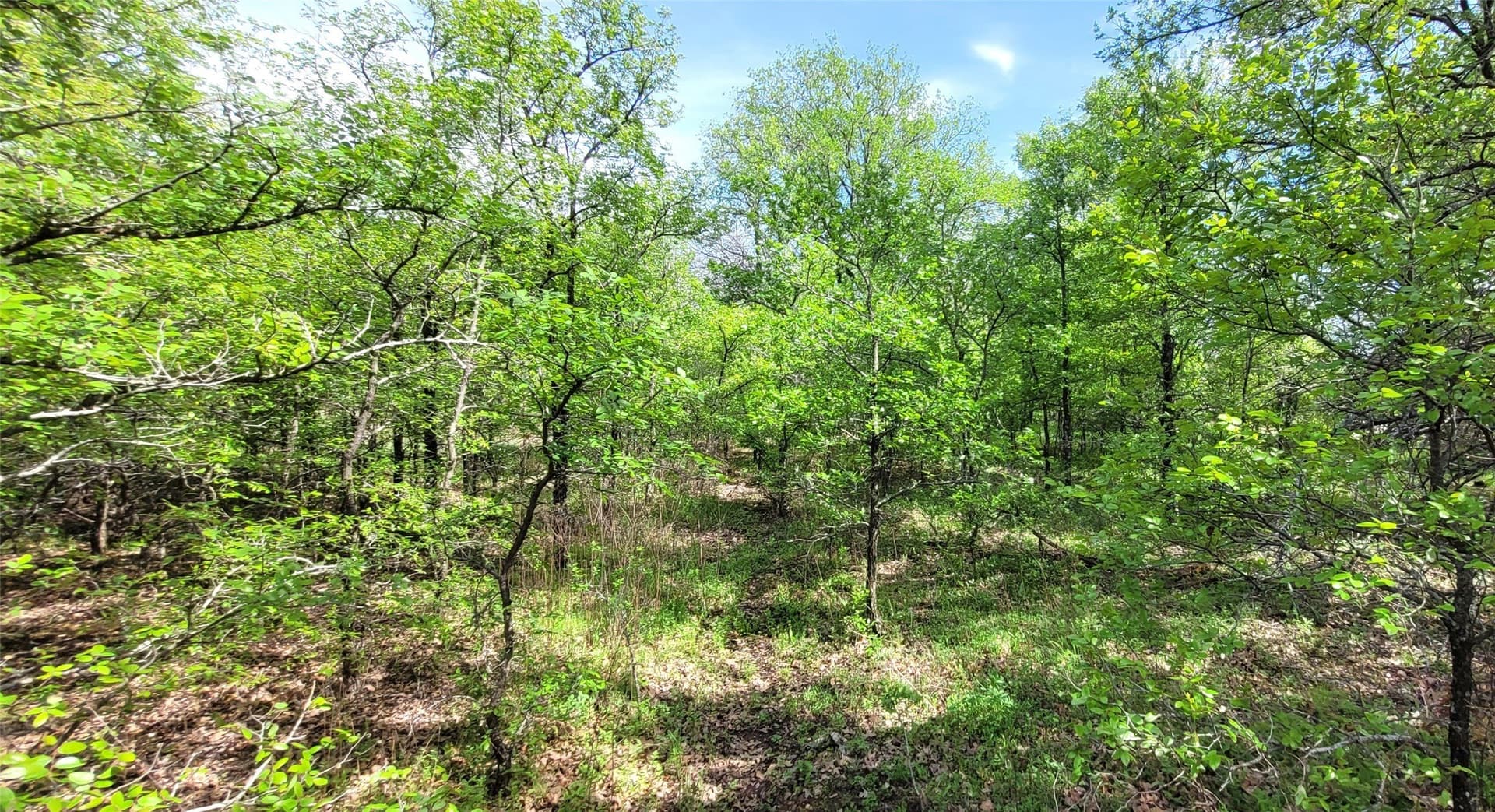 3.26 acres in Johnson County - photo 3