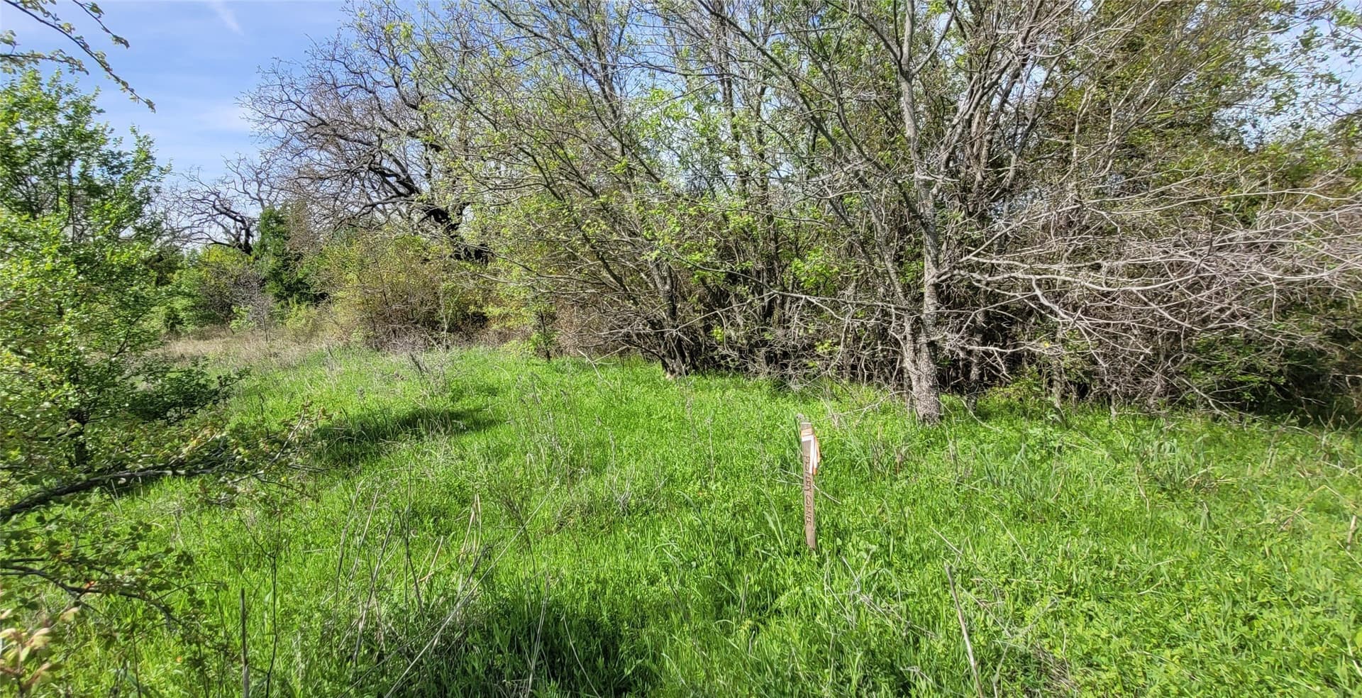 3.26 acres in Johnson County - photo 10