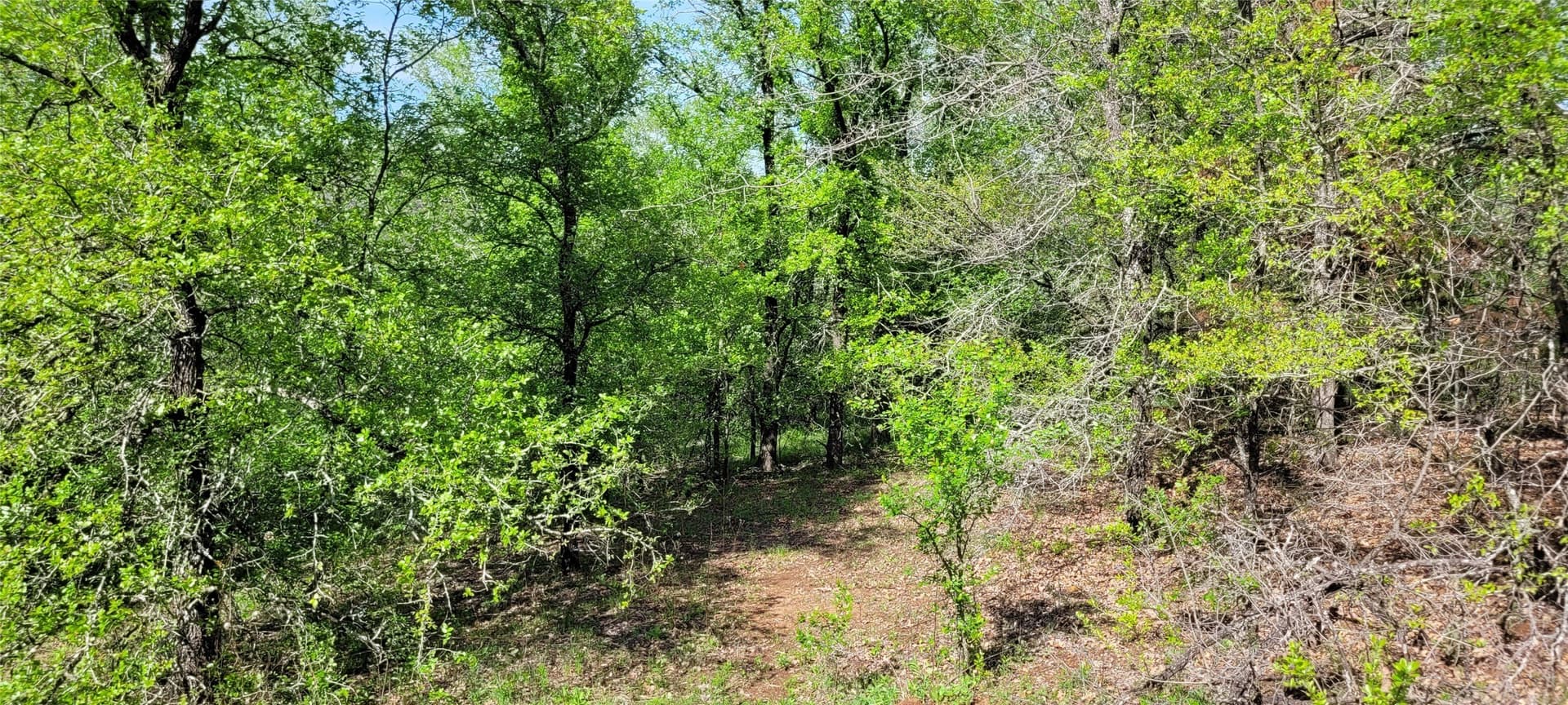 3.26 acres in Johnson County - photo 14