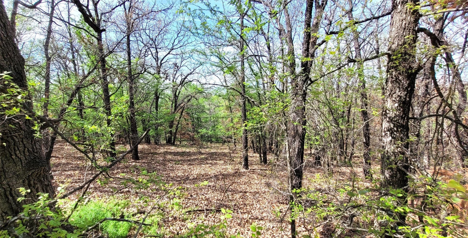 3.26 acres in Johnson County - photo 6