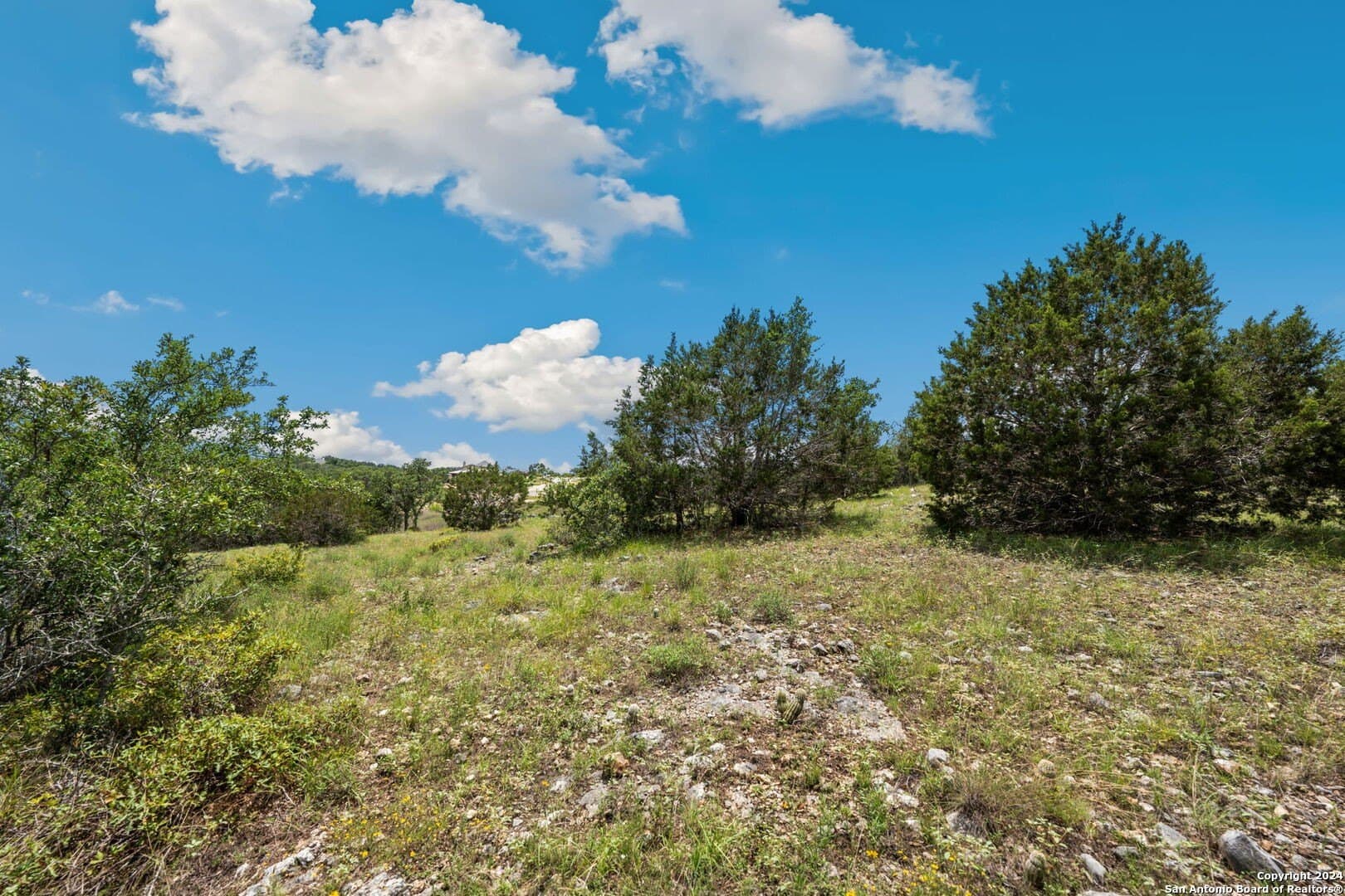 1.06 acres in Comal County gallery image 4