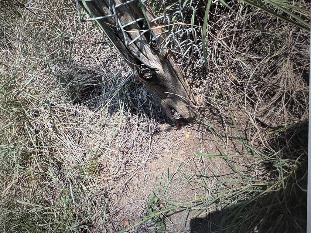 0.52 acres in Maverick County featured view