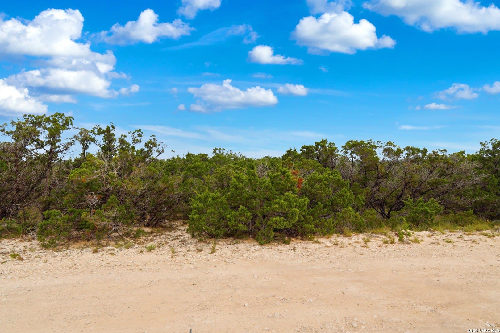 0.4 acres in Comal County gallery image 3