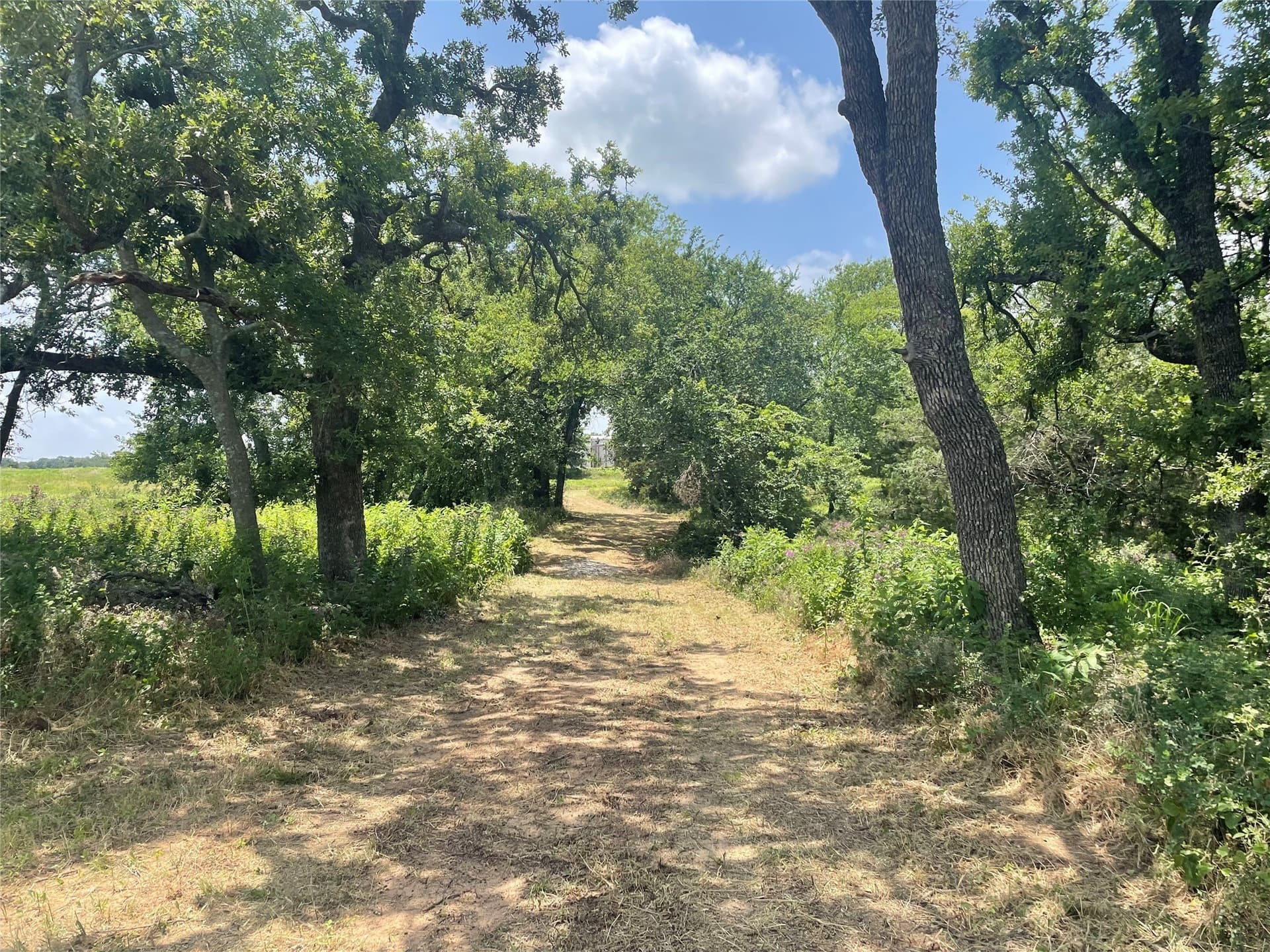 5.49 acres in Montague County - photo 3