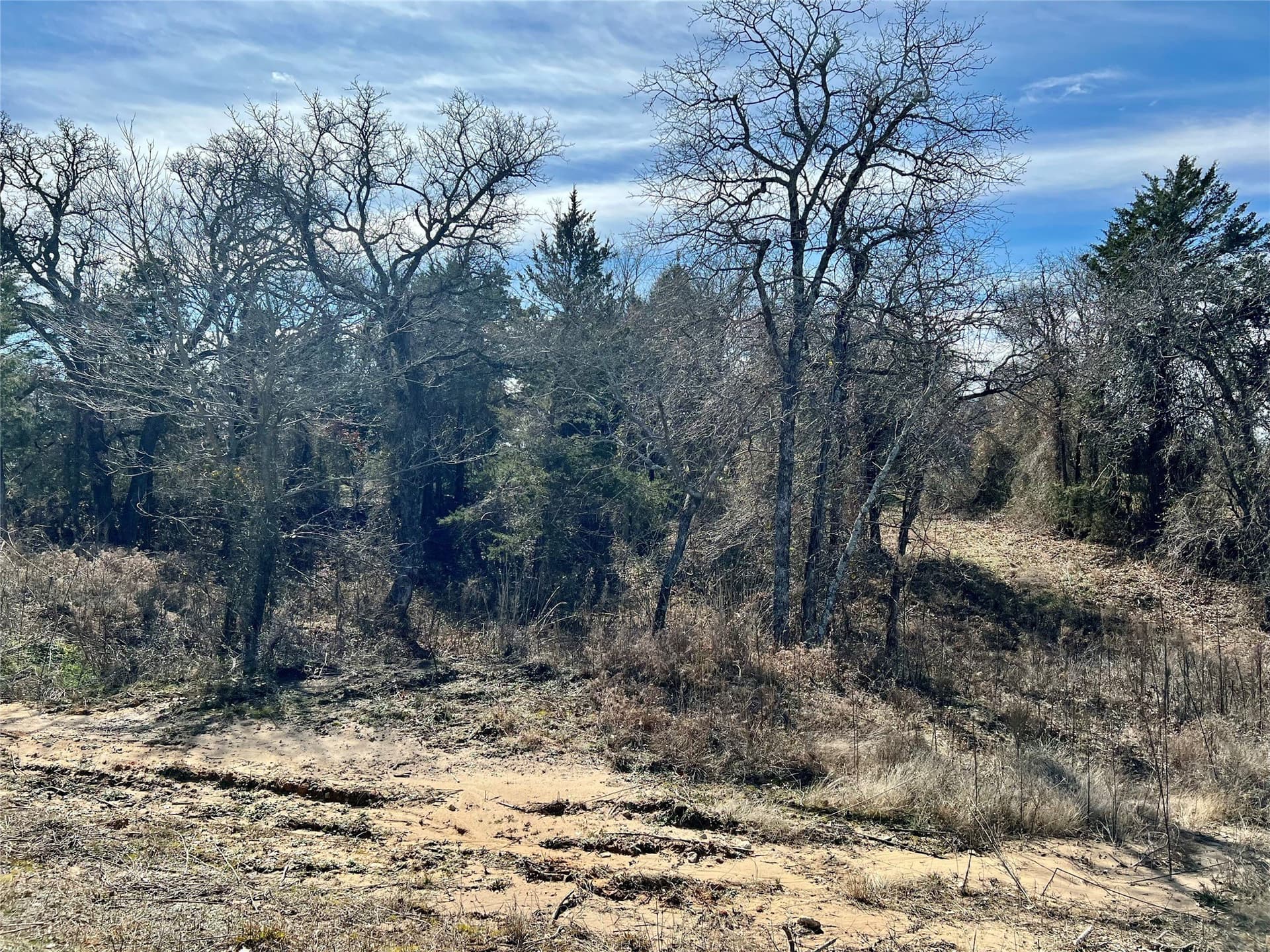 5.49 acres in Montague County - photo 11