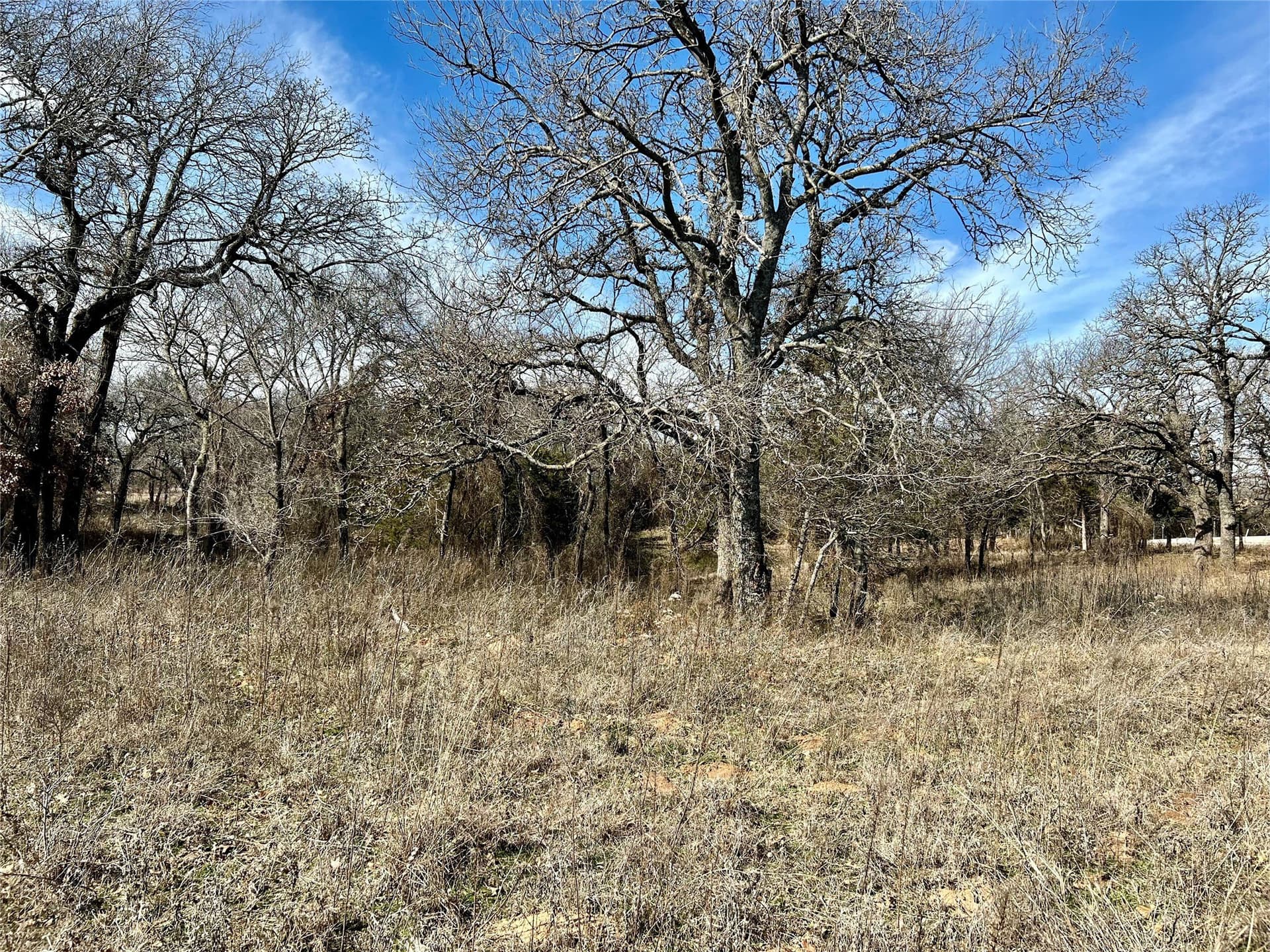 5.49 acres in Montague County - photo 9