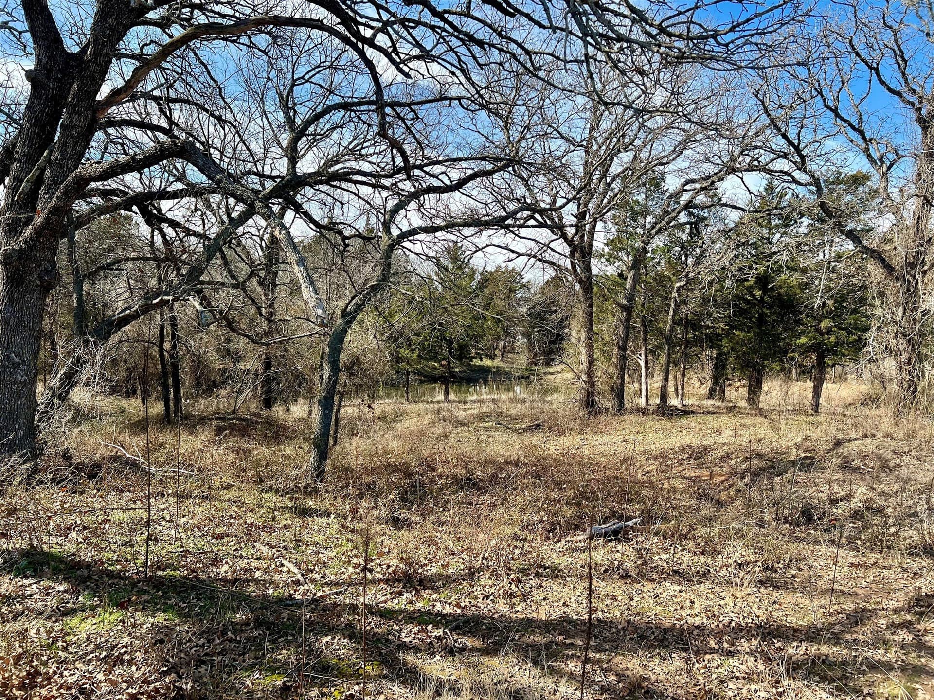5.49 acres in Montague County - photo 5
