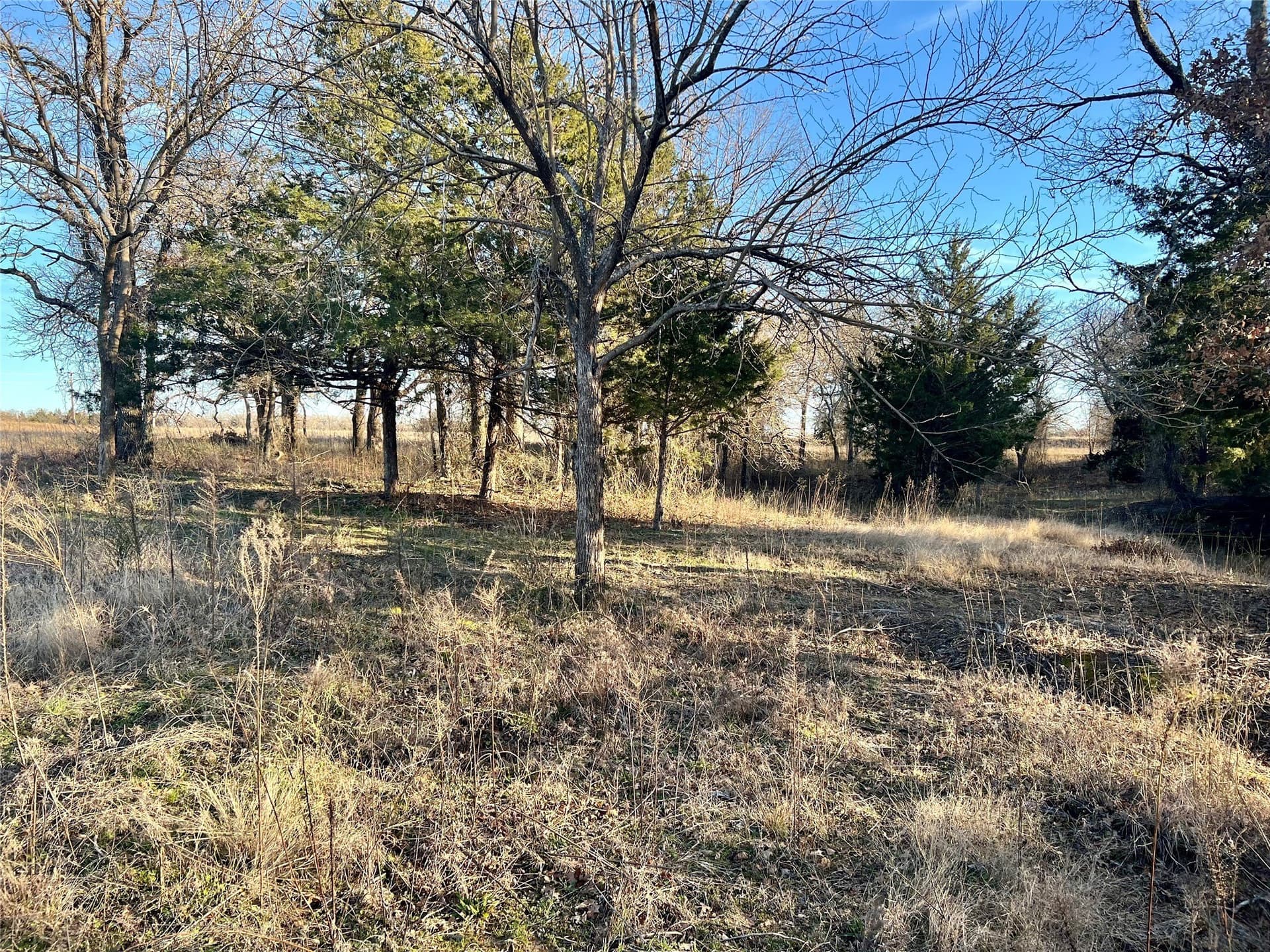 5.49 acres in Montague County - photo 23