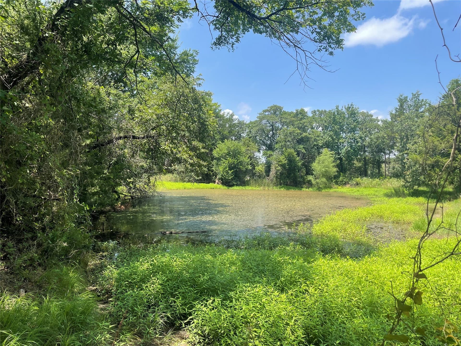5.49 acres in Montague County
