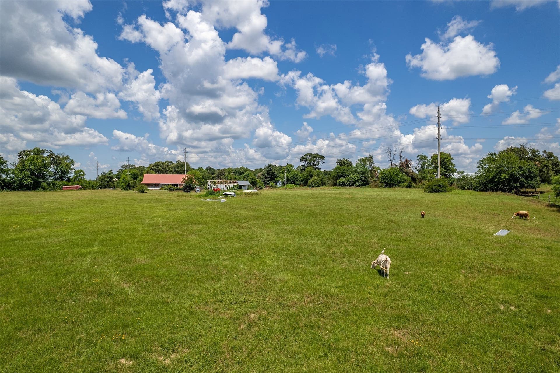 20 acres in Wood County - photo 35