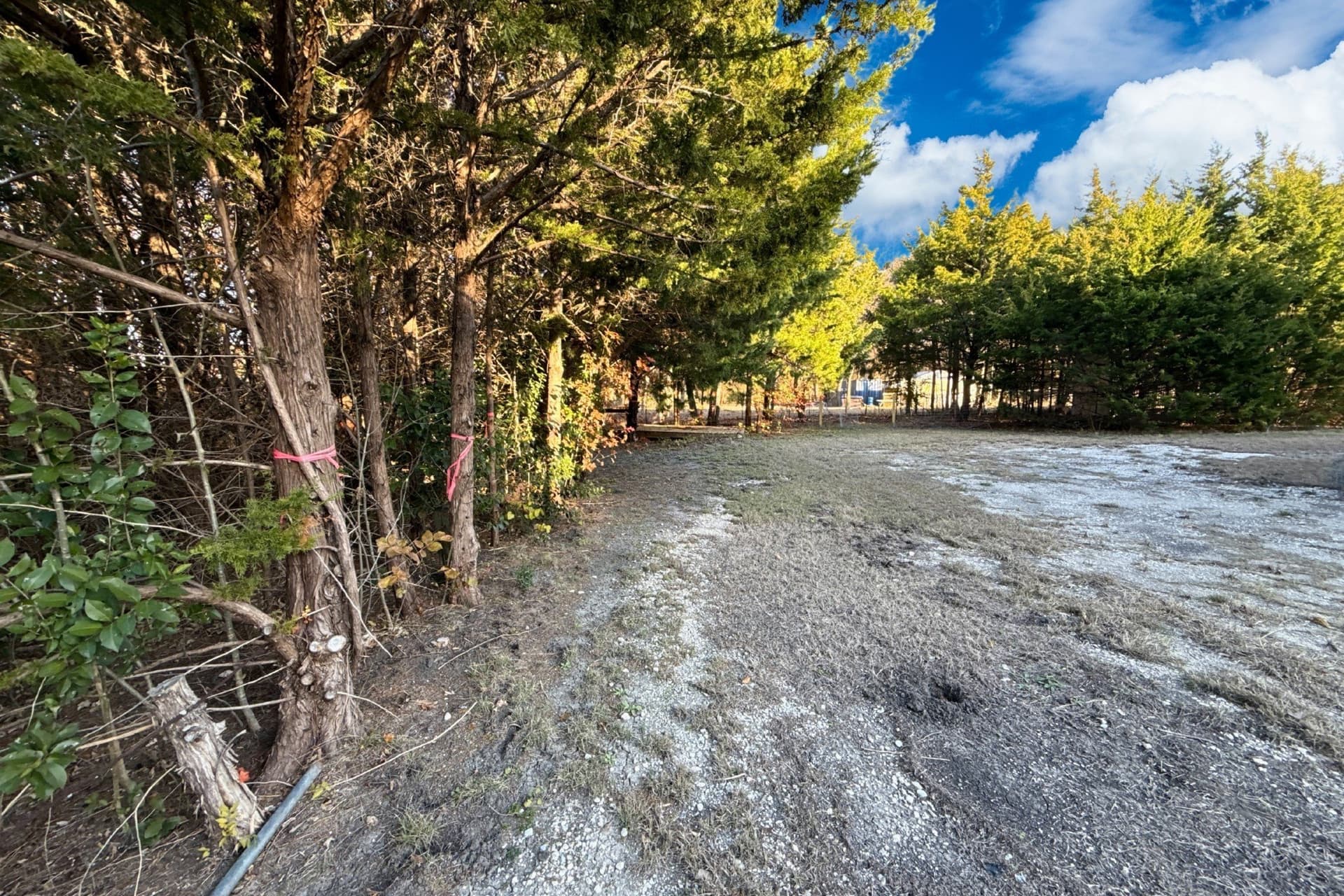 0.12 acres in Collin County gallery image 4