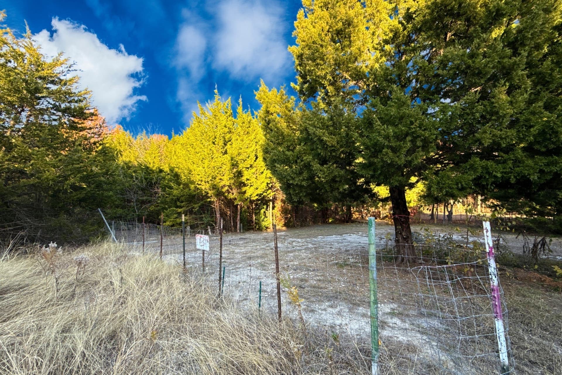 0.12 acres in Collin County gallery image 2