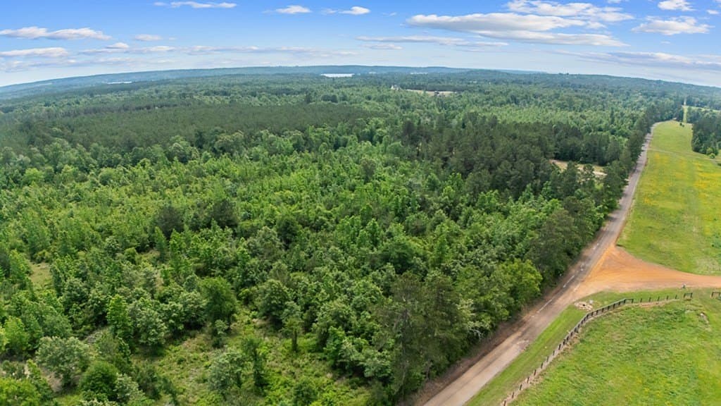 10.25 acres in Texas County - photo 7