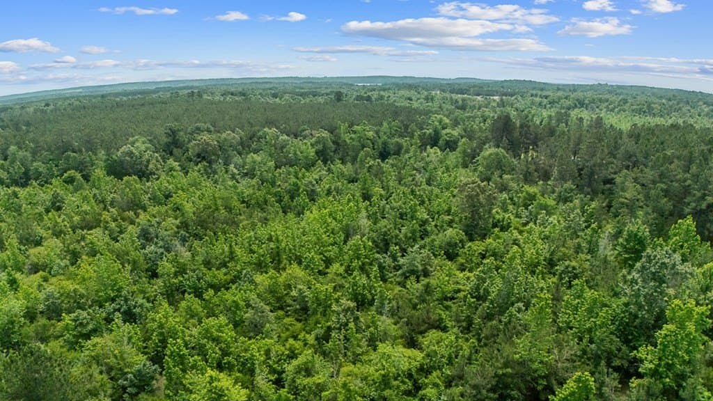 10.25 acres in Texas County - photo 8
