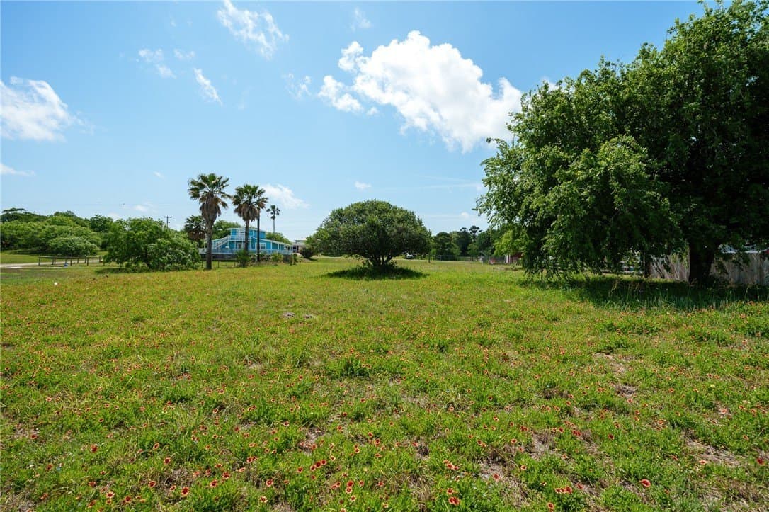 0.32 acres in San Patricio County gallery image 3