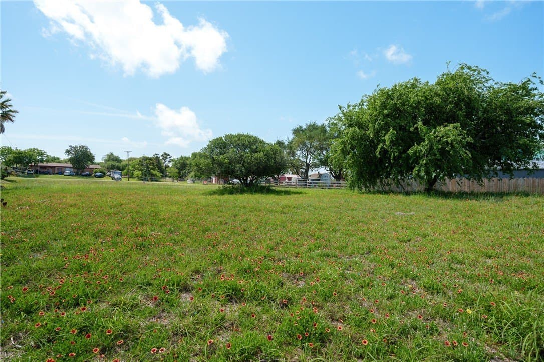 0.32 acres in San Patricio County gallery image 4