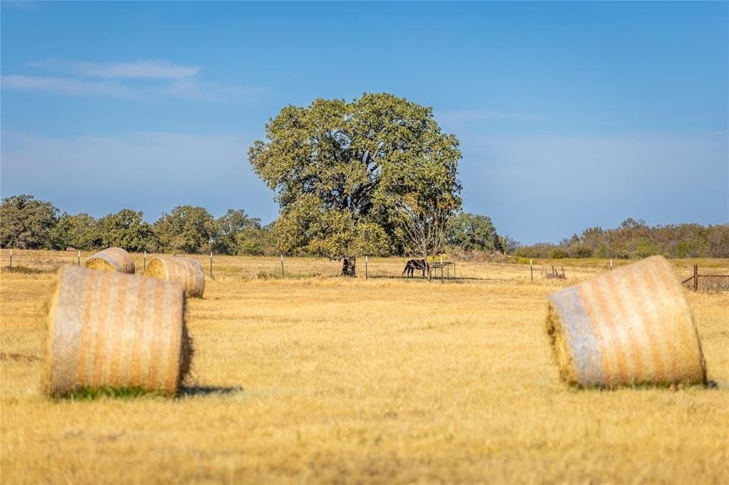 64.69 acres in Wise County gallery image 4