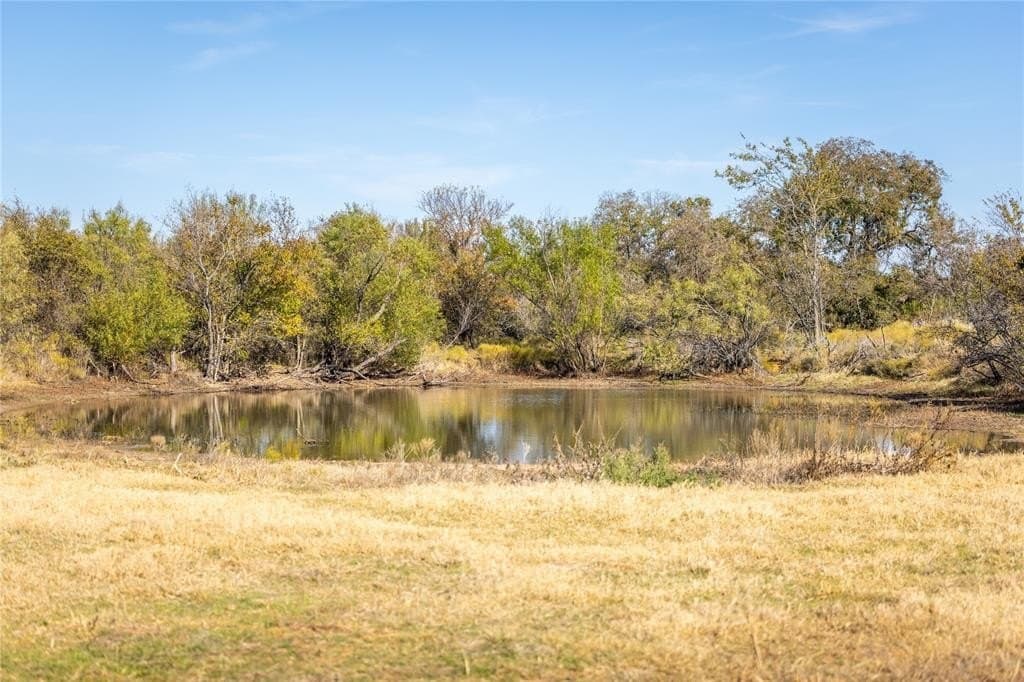 64.69 acres in Wise County gallery image 2