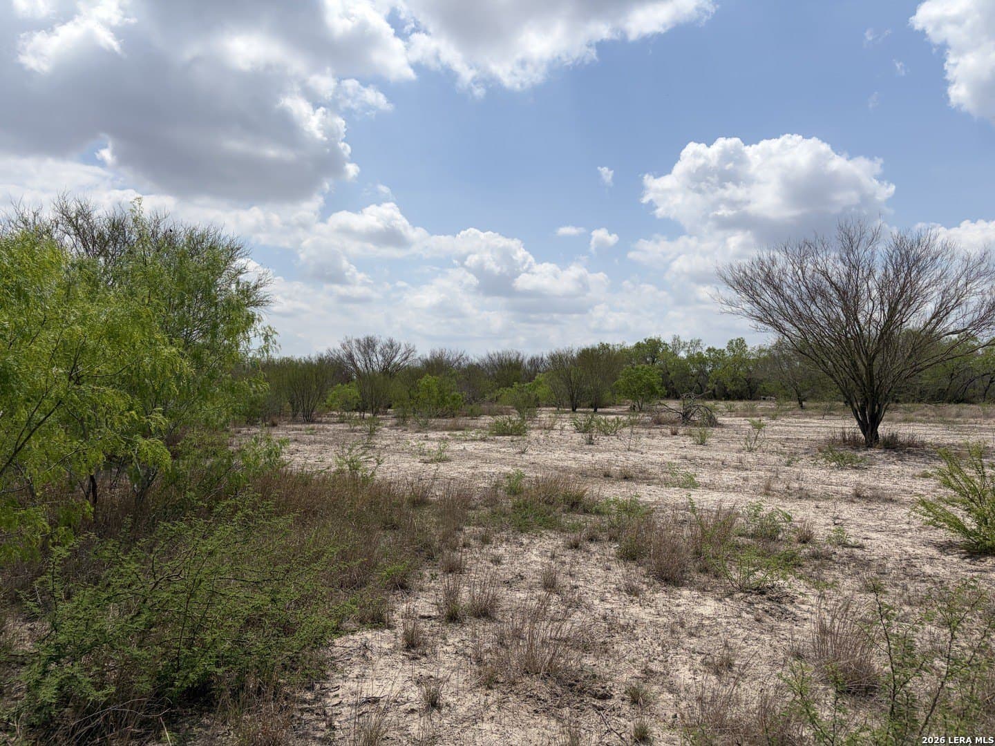 10.47 acres in Atascosa County gallery image 3