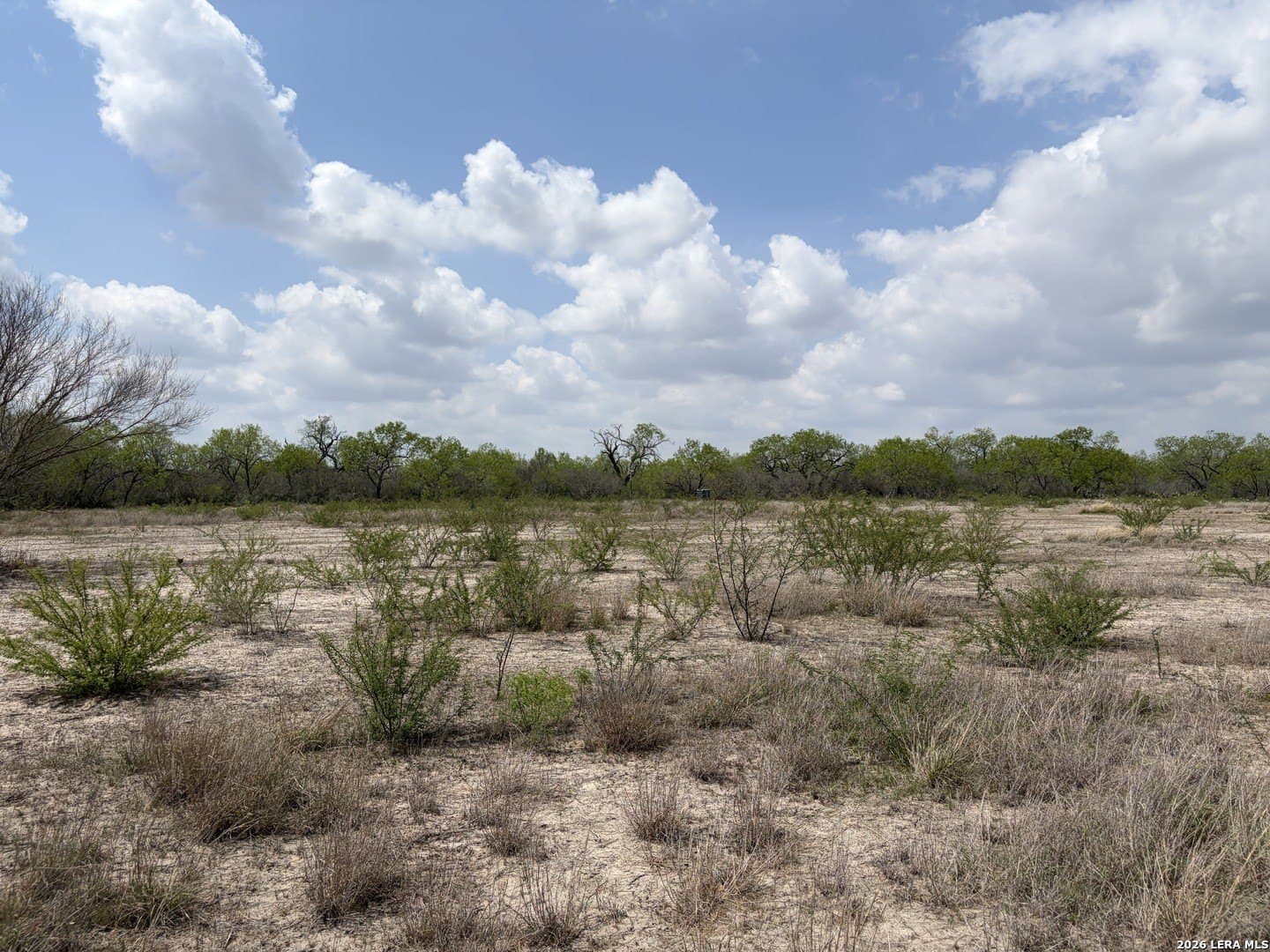10.47 acres in Atascosa County