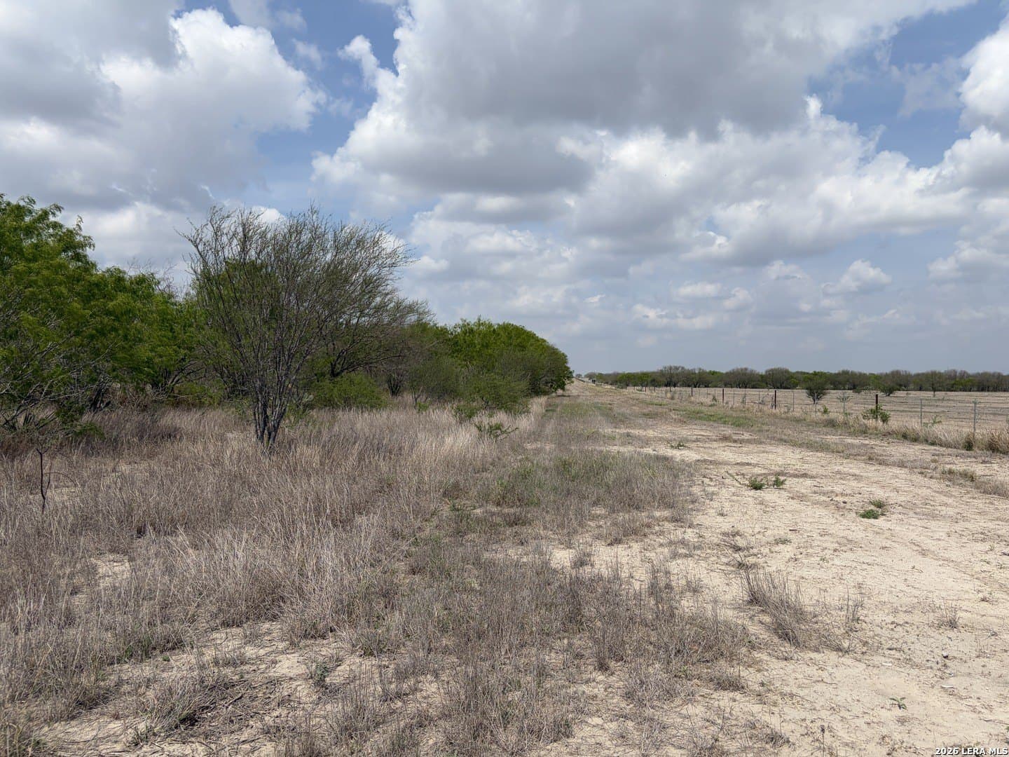 10.47 acres in Atascosa County gallery image 2