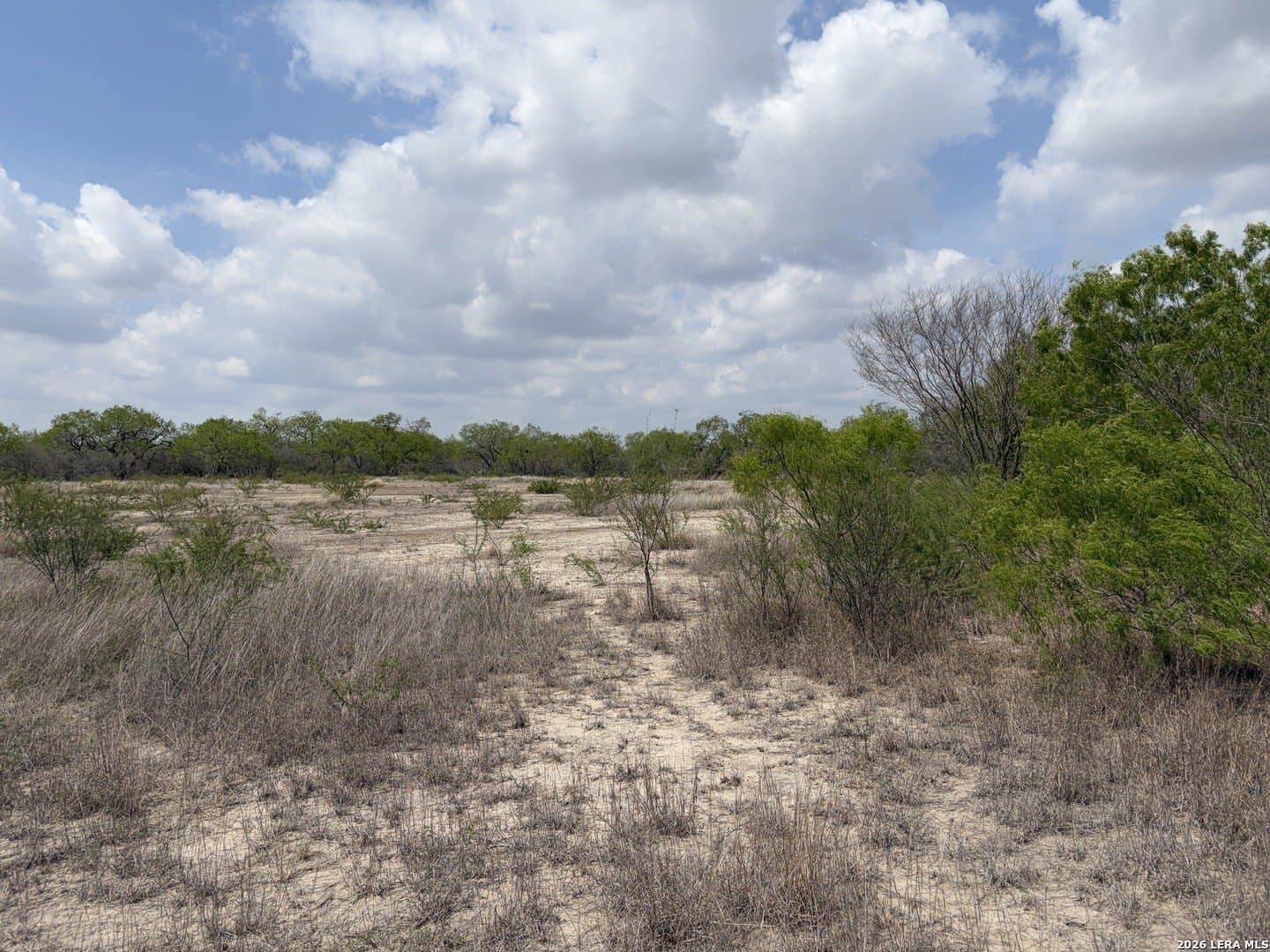 10.47 acres in Atascosa County featured view