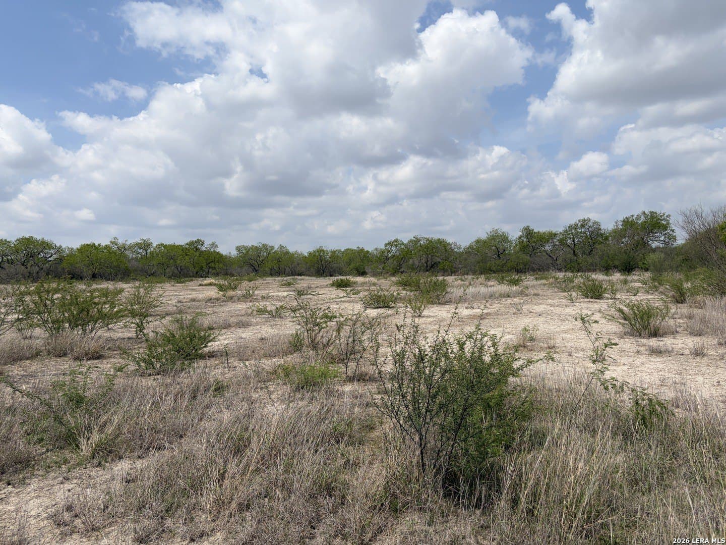 10.47 acres in Atascosa County gallery image 4