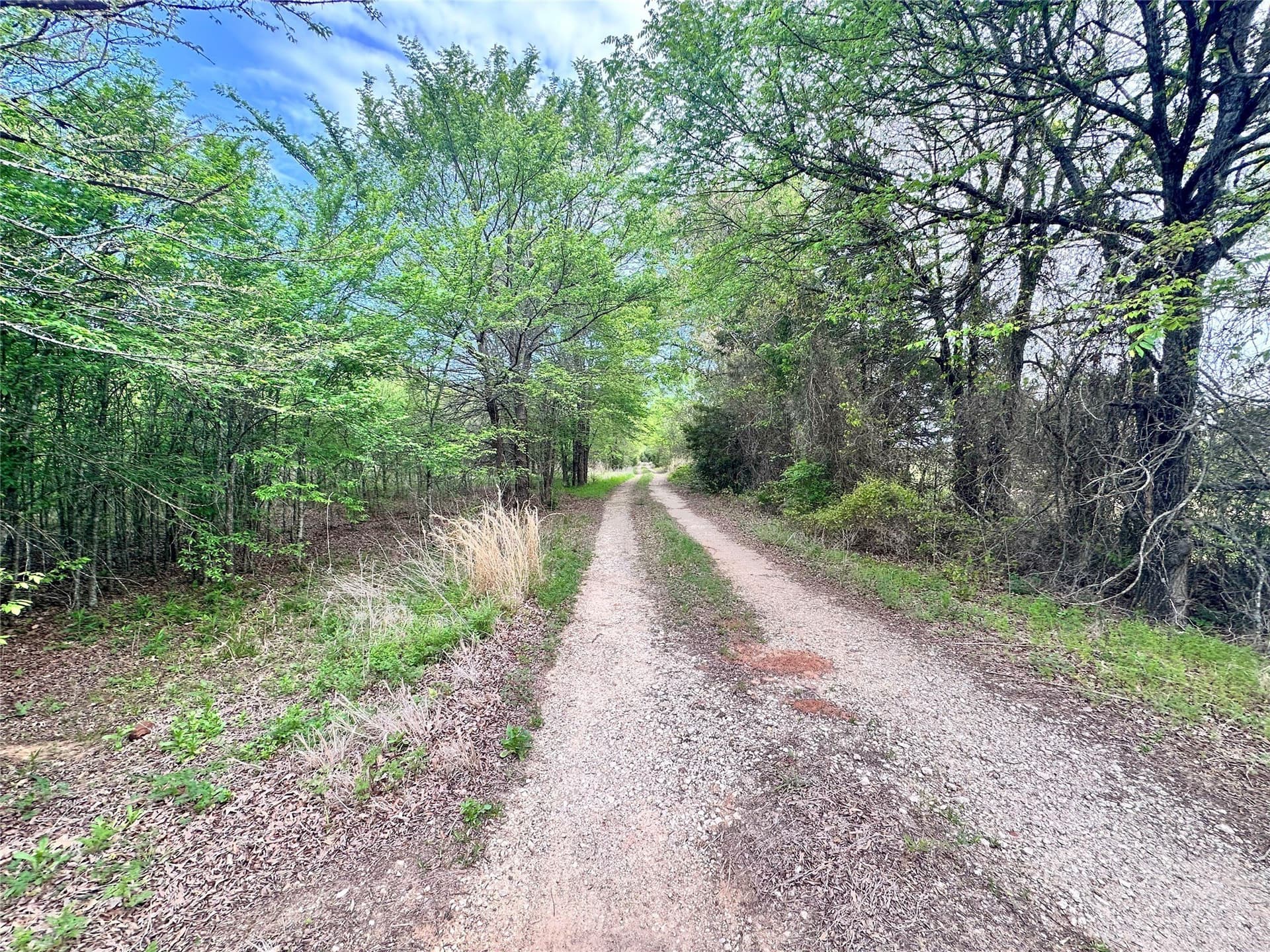13.21 acres in Henderson County - photo 13